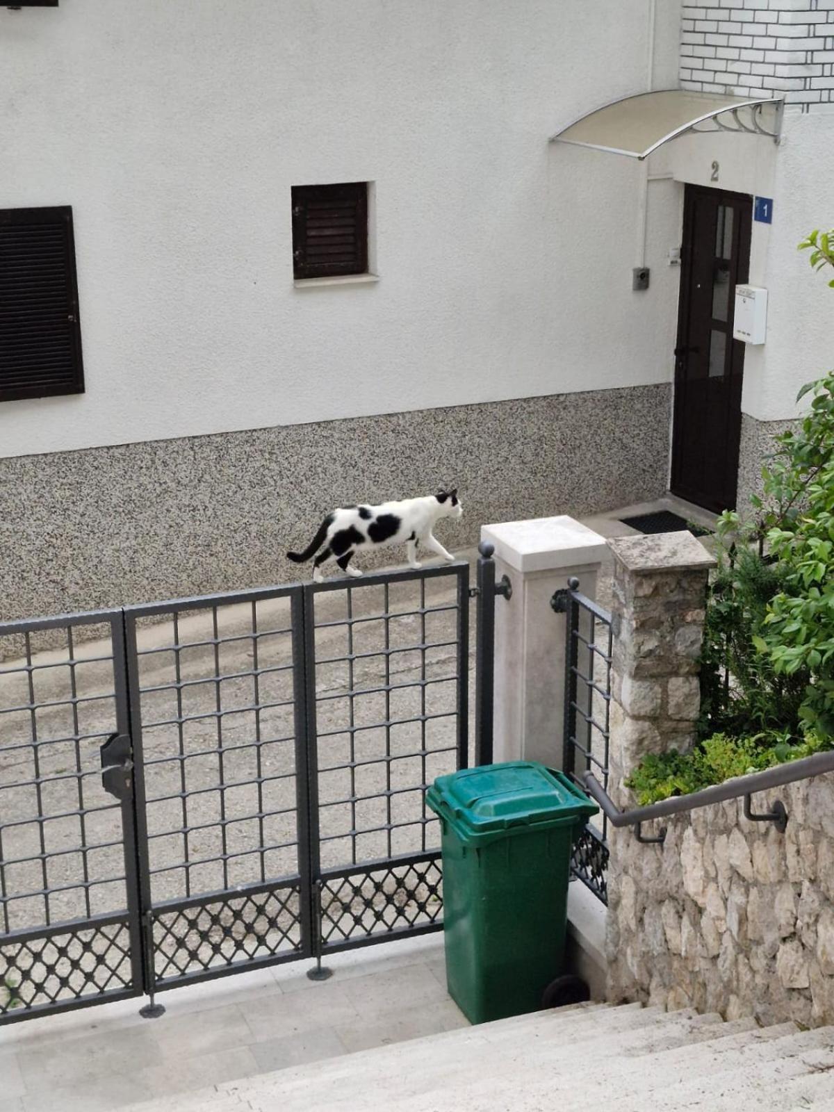 Stari Pazar 2 *