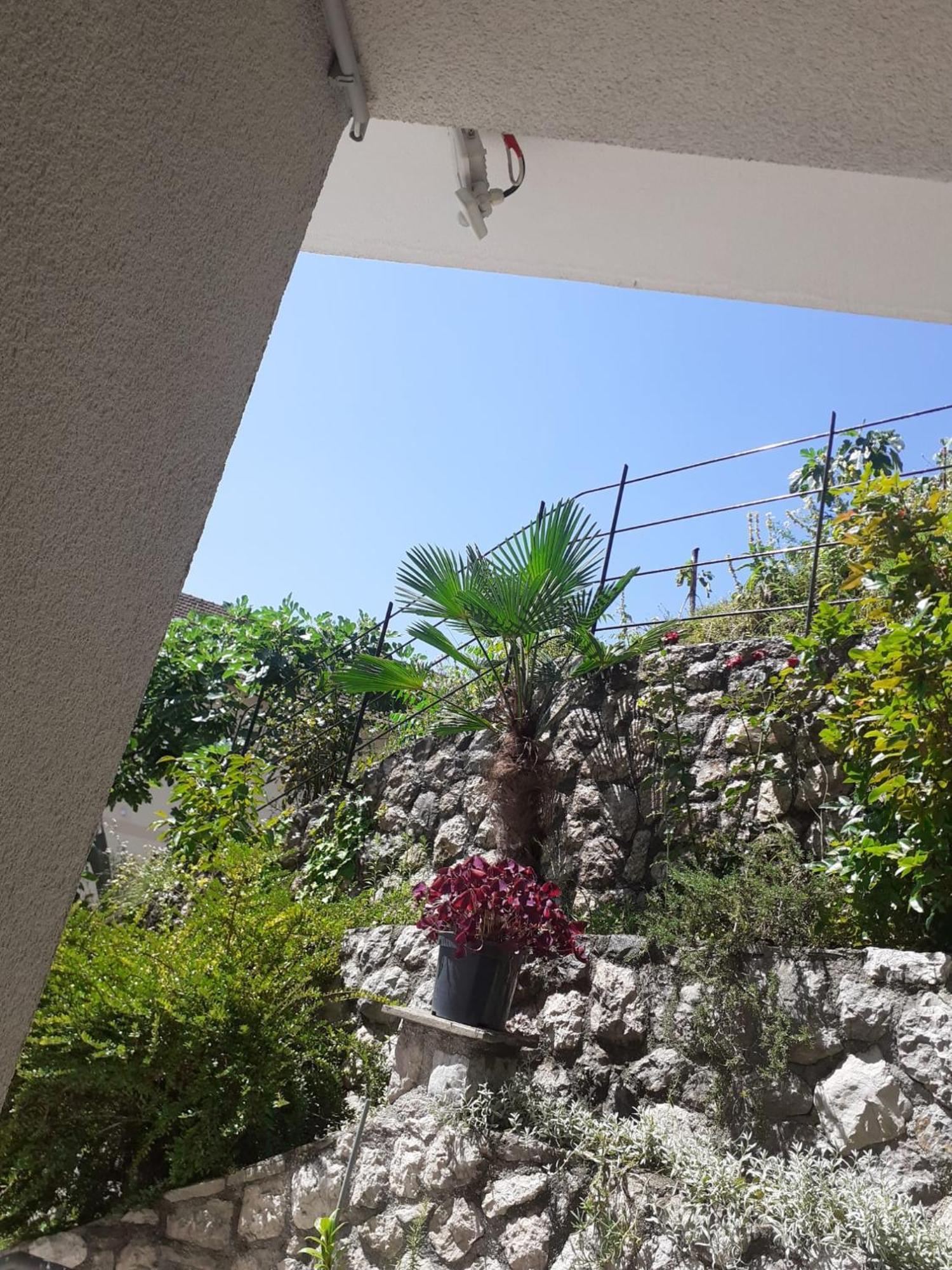 Stari Pazar 2 Apartmán *